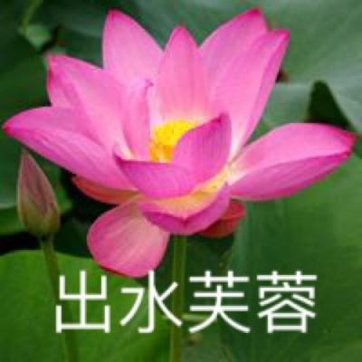 多名台湾艺人在公开场合表态，赖清德声称“要谅解艺人”，国台办驳斥！